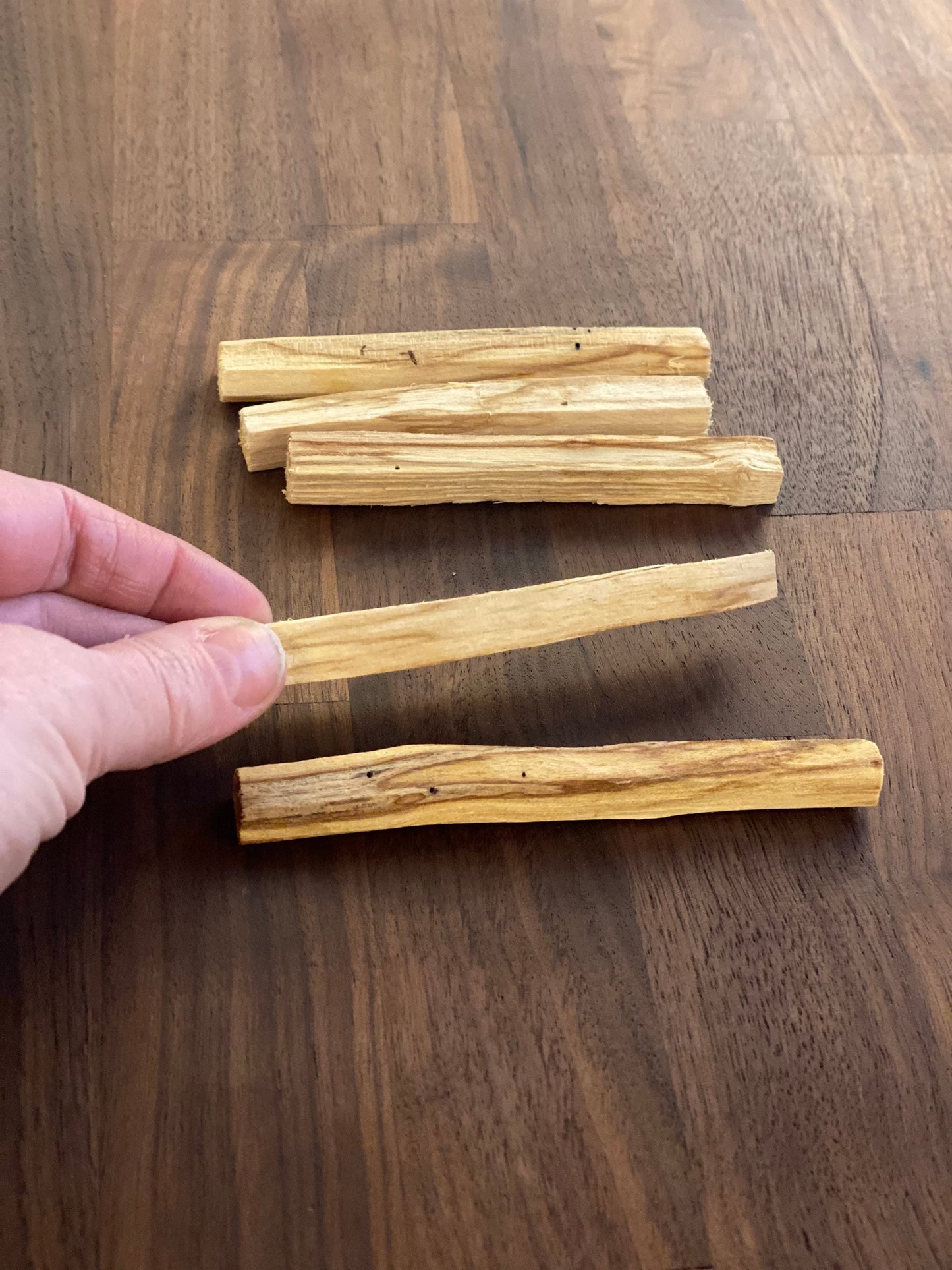 Sacred Palo Santo Sticks: Ethically Harvested from Ecuador - The Preachers Daughter Candle Co