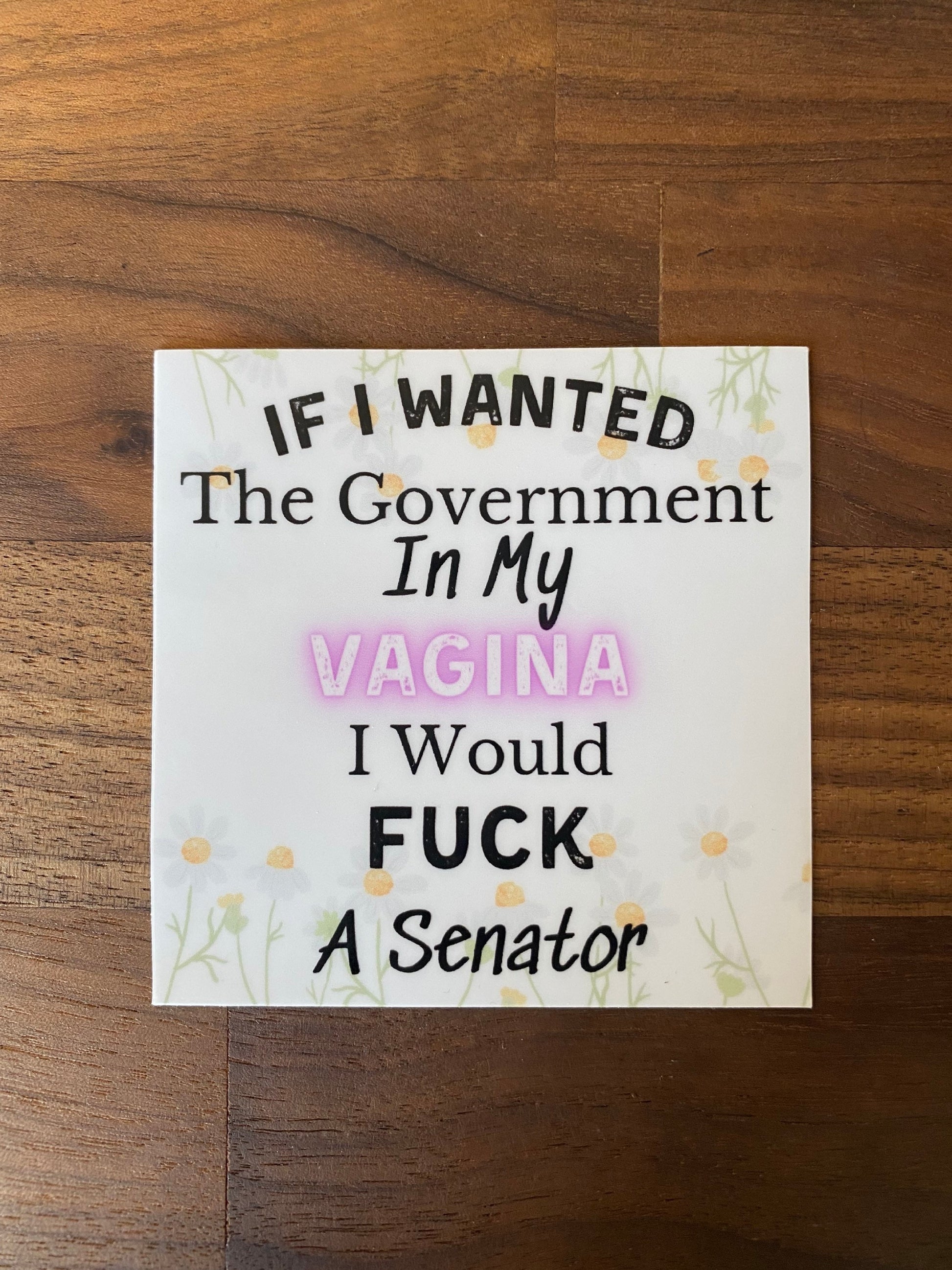 If I wanted the Government in my vagina I?d Fuck a Senator, soy wax candle, phthalate free, Reproductive rights, apothecary candle, mature - The Preachers Daughter Candle Co